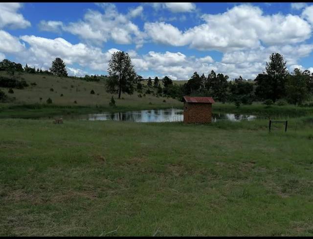 FARM FOR SALE IN LYDENBURG RURAL